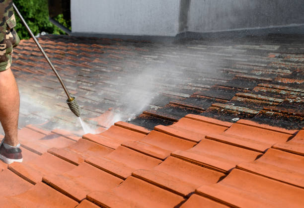 Best Residential Pressure Washing Services  in Sam Rayburn, TX