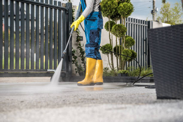 Best Pressure Washing Contractors  in Sam Rayburn, TX
